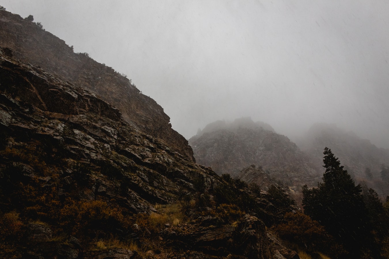 footer_bg